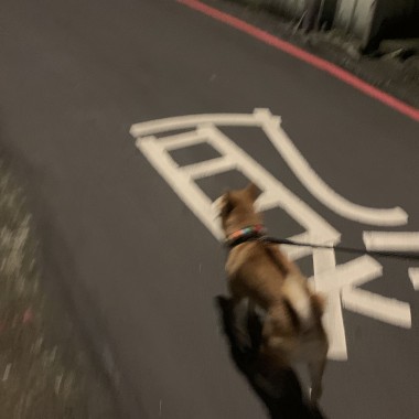 沒有如果