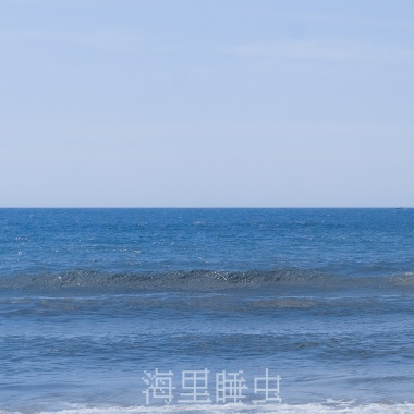 海里睡虫