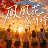 鳳凰花盛開時