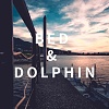 Bed & Dolphin