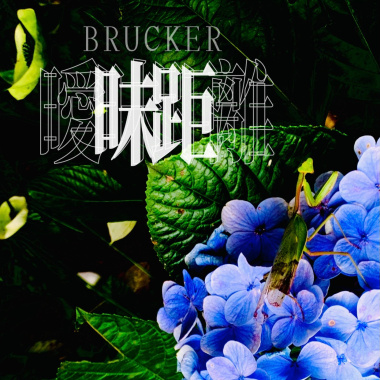 Brucker - 曖昧距離（demo)