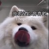 好朋友