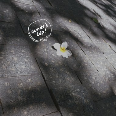Rainy girl 雨天少女