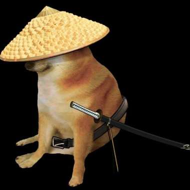 不要暈船/Do not simp