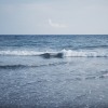 Sea you_demo
