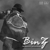 BinZ - 霧