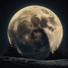 夜色微醺