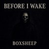 Before I Wake