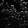 Instrumental（Demo Version）