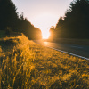 On the Road (demo)