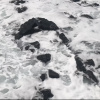 drown 溺