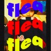 跳蚤FLEA