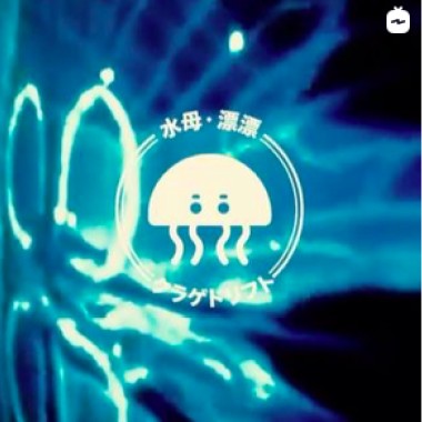 水母漂漂