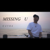Missing U