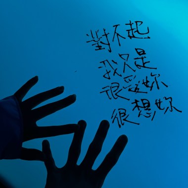 對不起我只是很愛妳很想妳