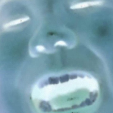 蛤