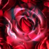 Scarlet Fantasy