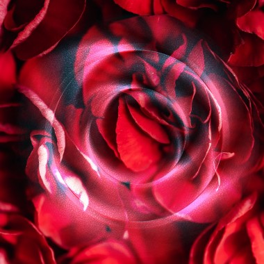 Scarlet Fantasy
