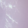 珊瑚色的一串心跳（carol heartbeat）