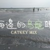 海邊的烏龜頭 KAWAII FUTUREBASS CATKEYMIX