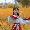 瀟灑人間 (劍俠魔姬三部曲之一)