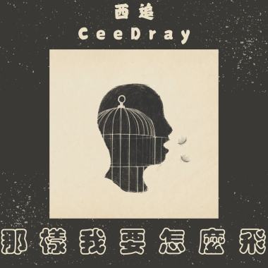 那樣我要怎麼飛