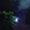 Poet by Night