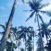 那年夏天