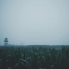 信仰之野（雷雨版）
