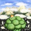 Silent Flower (Demo)