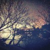 Alone (Demo)