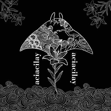 成暖-cover by sasare