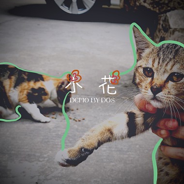 小花demo