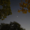 Beautiful Stars