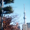 東京漫遊