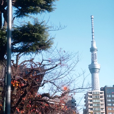 東京漫遊
