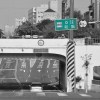 孩子與樹