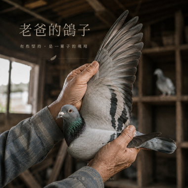 老爸的鴿子