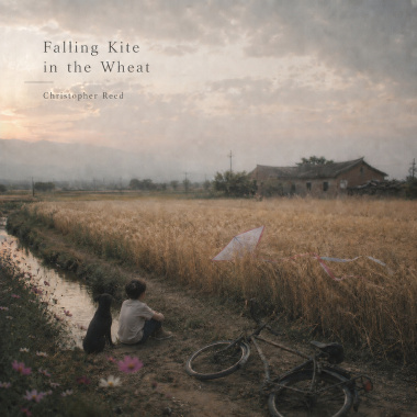 Falling Kite in The Wheat