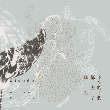 等待再一次躍出水面 Dolphins Leap
