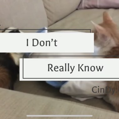 I Don't Really Know