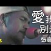 張震嶽 - 愛我別走 Cover By 城市浪橘