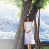 許美靜 - 城裡的月光 Cover By 城市浪橘