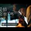 盧廣仲 - 愛情怎麼了嗎 Cover By 城市浪橘