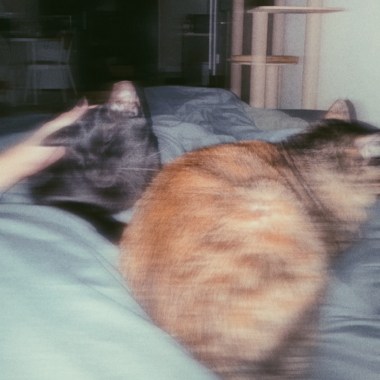 再見feat.Din(DEMO)