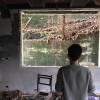 任性而活