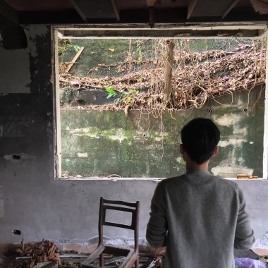 任性而活