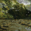 〈路〉Path