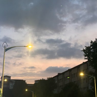 ；