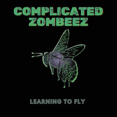 Learning to Fly